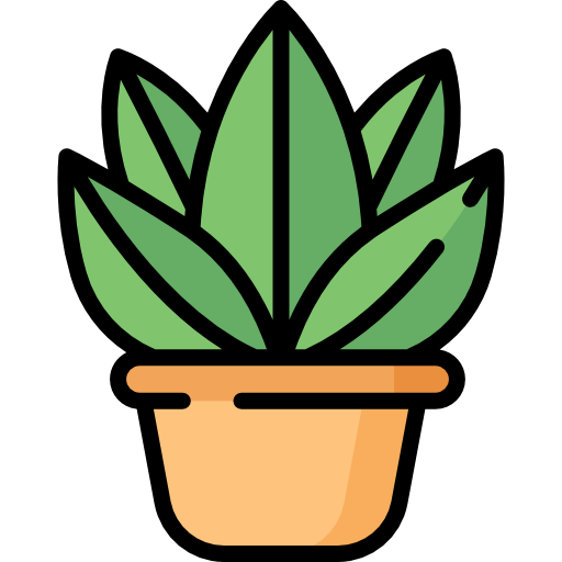 Plants